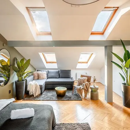 Sunset Crown Penthouse And Terrace 公寓 布拉格